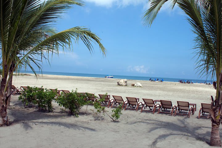 Camas de playa plegables