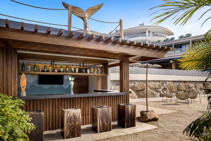 Barracuda bar on the beach