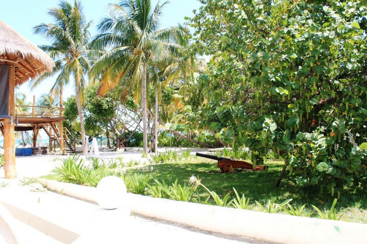 Garden at Cabañas María del Mar hotel