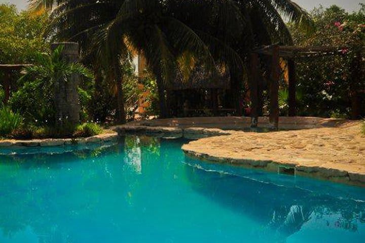 Relax at the pool of the Villas Delfines, hotel in Holbox