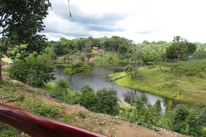 Amazon Turtle Lodge, hotel cerca de Careiro