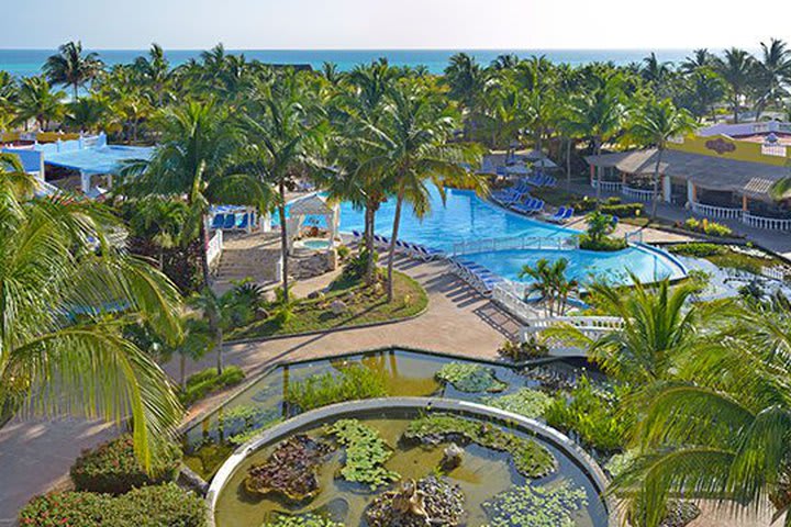 Outdoor pool surrounded by vegetation