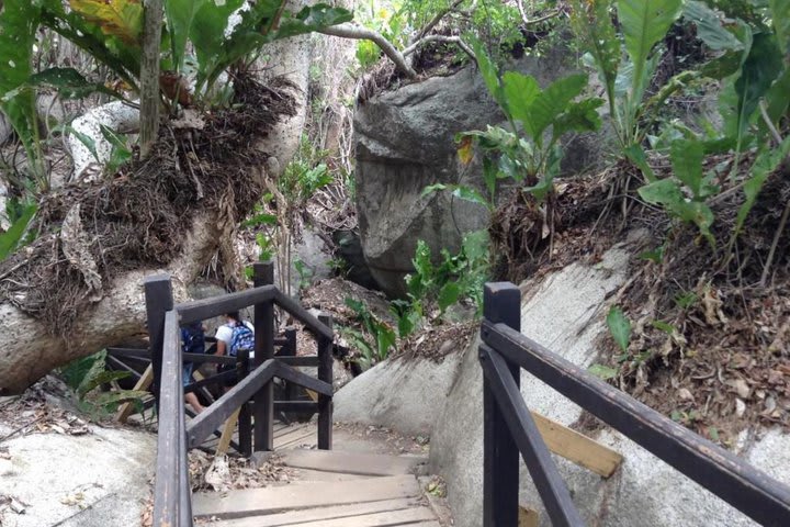 El hotel está dentro del Parque Tayrona