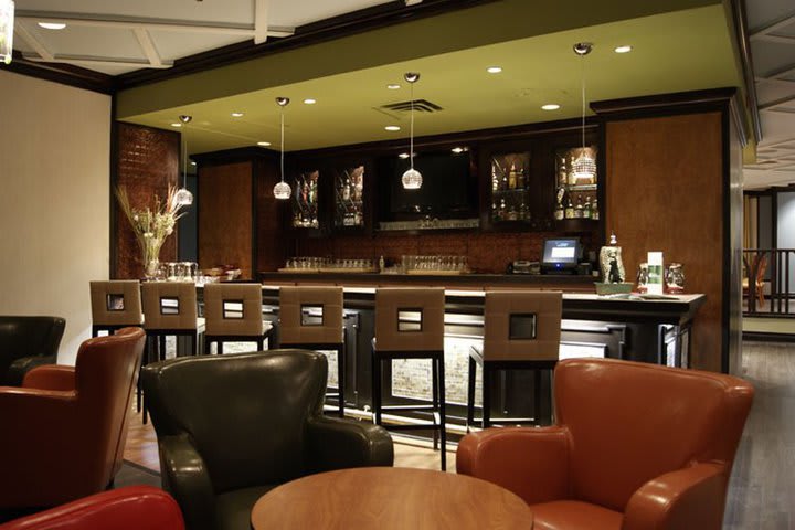 Counter of the bar at Hotel Indigo Toronto Airport