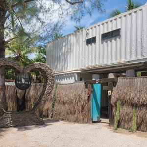 Palmar Tulum