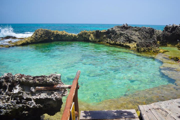 Natural pool