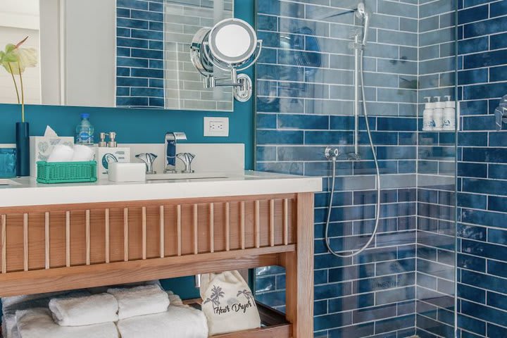 Private guest bathroom with rain shower