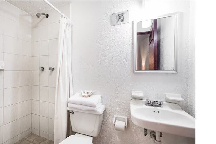 Interior view of a guest bathroom