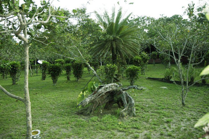 Amazon Ecopark Jungle Lodge está en Manaus