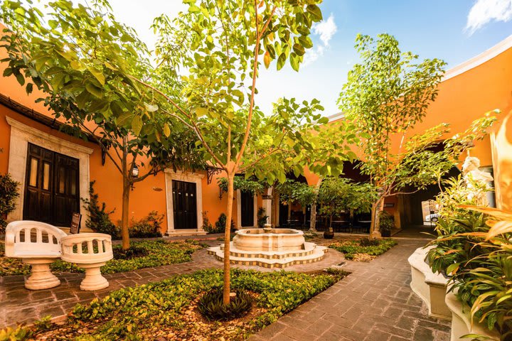 Gardens at the hotel