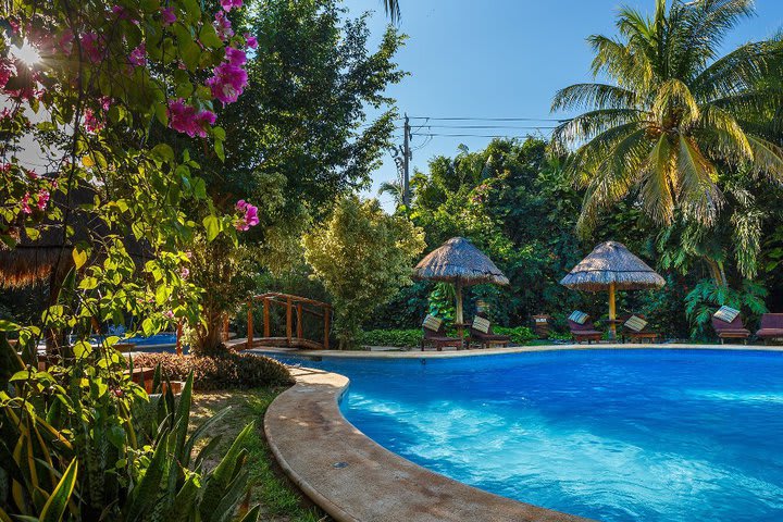 The pool is surrounded by sun loungers