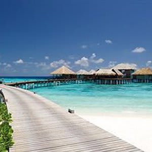 Coco Bodu Hithi