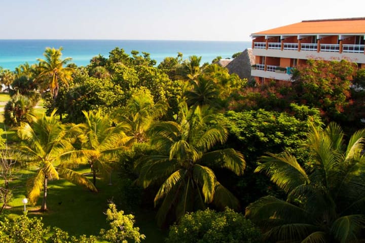 Hotel surrounded by green areas