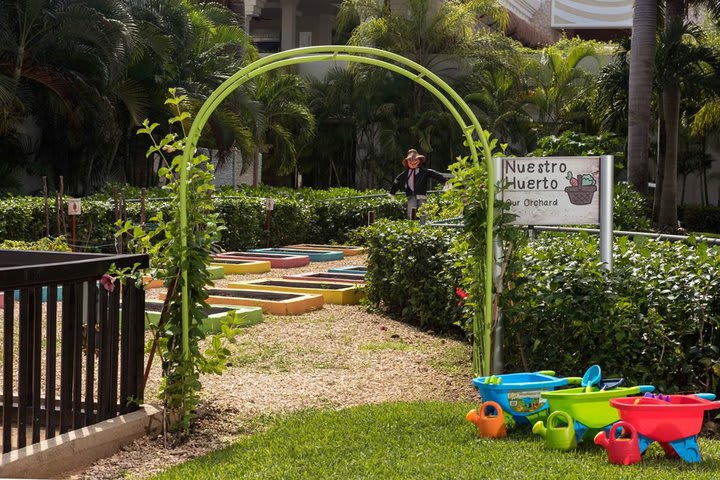 Kids can learn to grow food in the garden