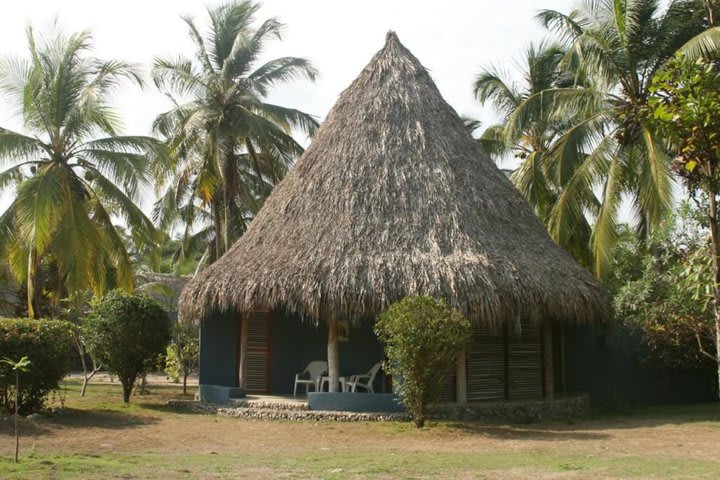 Palapa