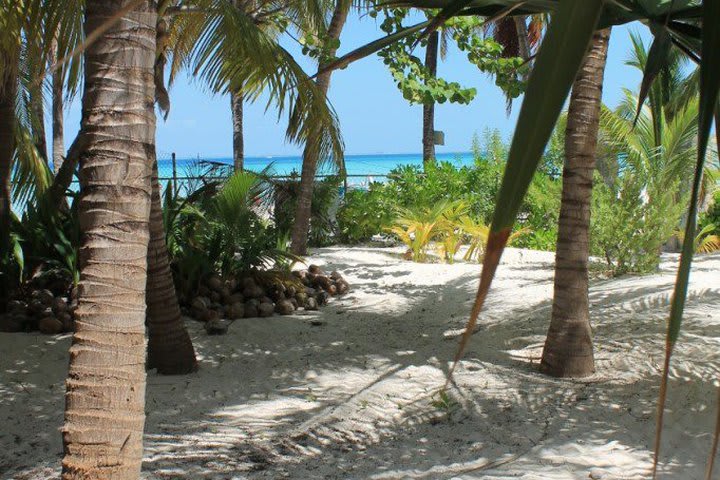 Beach at Cabañas María del Mar hotel on Playa Norte Beach