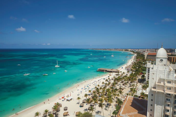 El hotel se encuentra sobre la playa en Palm Beach