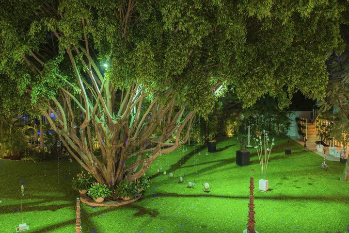 Night view of the garden