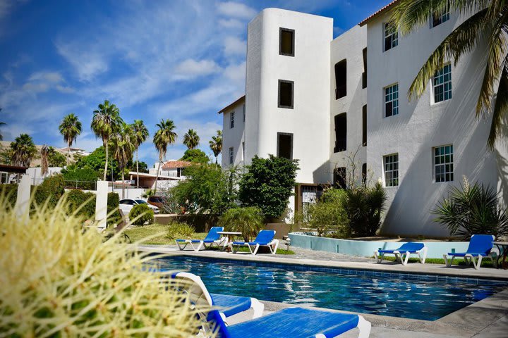 Sun loungers next to the pool