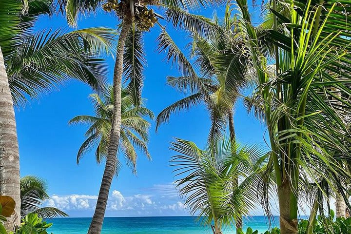 Vista hacia la playa