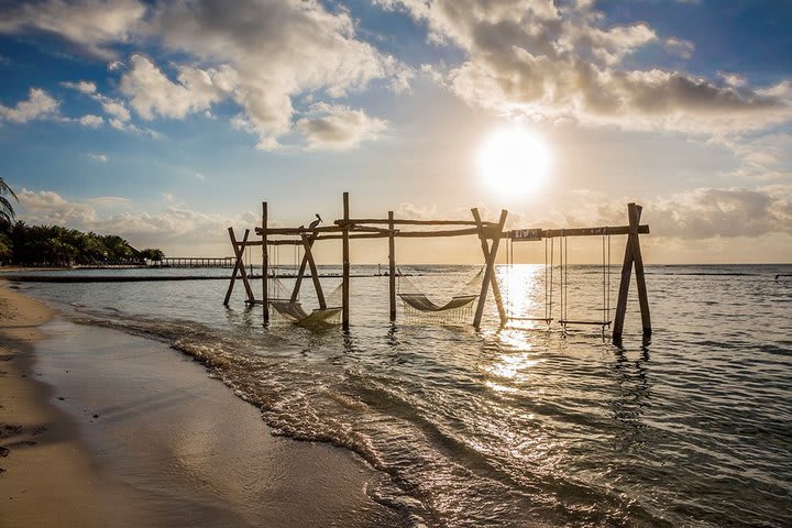 Overwater swings