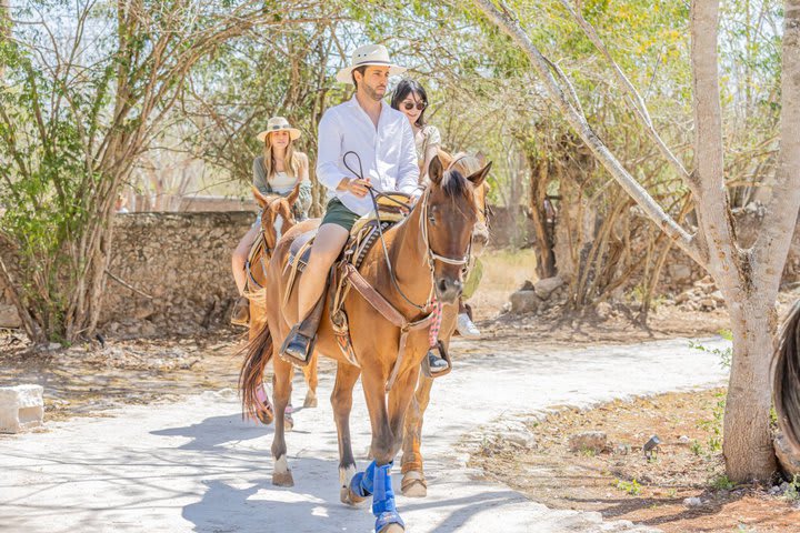 Paseos a caballo