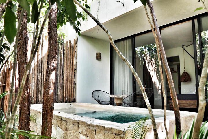 Tropical guest room with private pool and jungle view