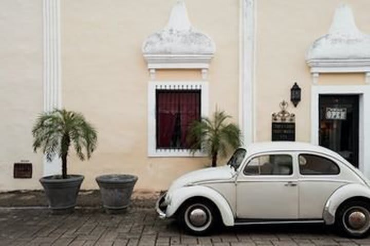 Coqui Coqui Valladolid