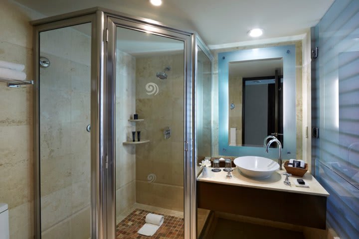 Private guest bathroom