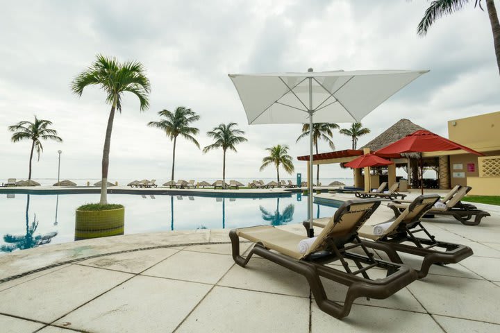 Sun loungers next to the pool