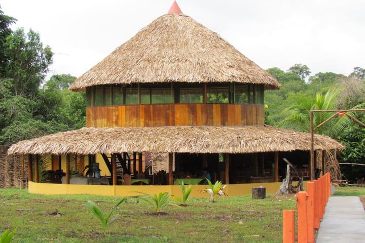 Admira el paisaje en el Amazon Turtle