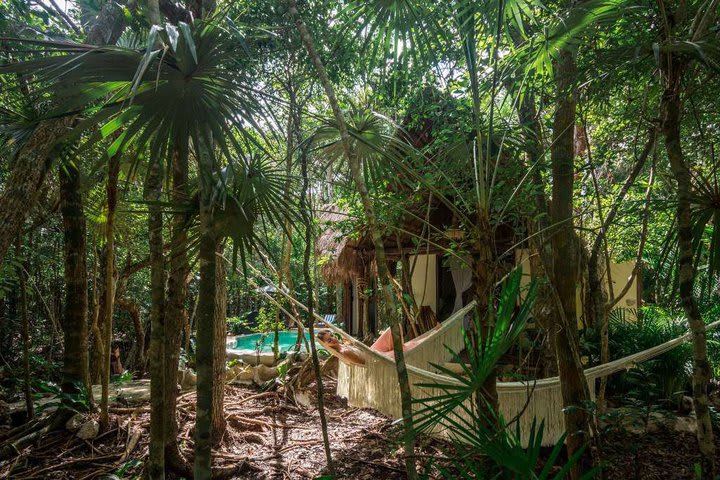 Hotel con cabañas en medio de la selva