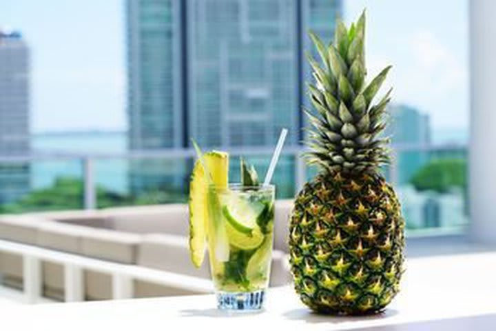 Hotel Novotel Miami Brickell