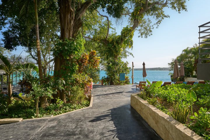 Green areas at the hotel