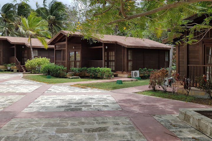 Exterior view of the wooden bungalows