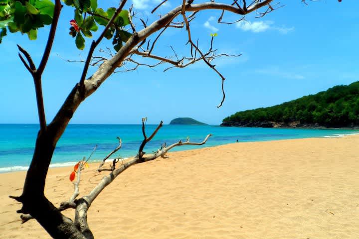 PriceTravel - Viaja fácil, sin pretextos
