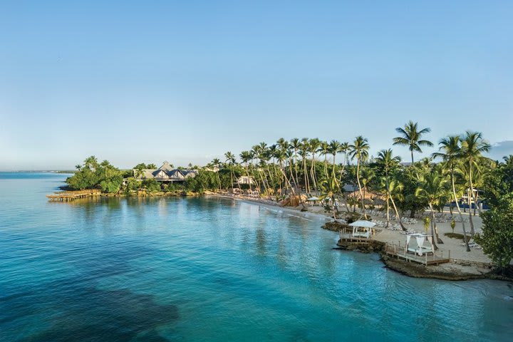 Aerial view of the beach