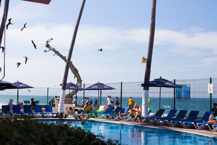 Sun loungers around the pool