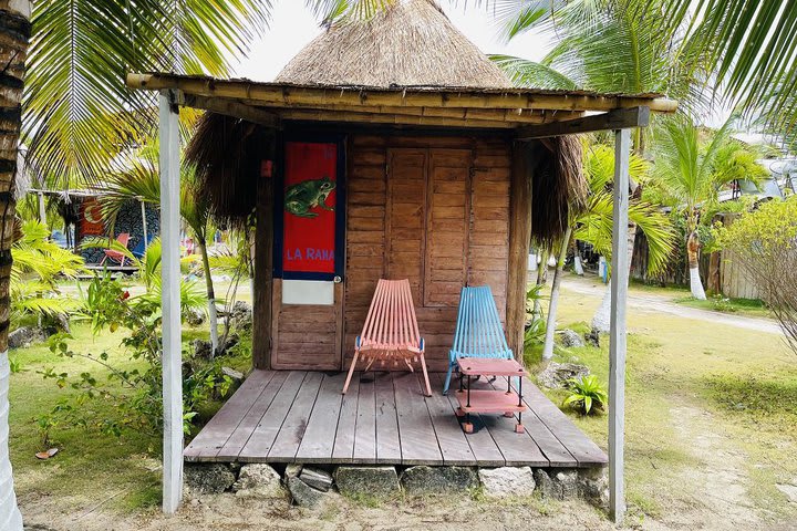 Mini cabaña vista jardín