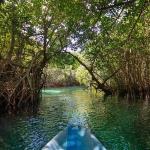 Kimpton Hacienda Tres Ríos All-Inclusive Resort, Spa & Nature Park