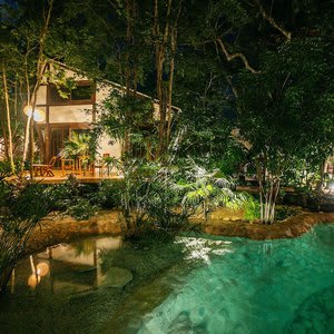 Nahouse Jungle Lodges