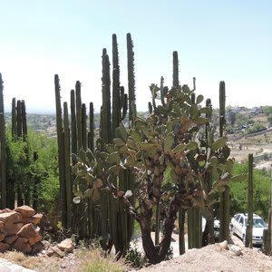 Hotel Posada San Jorge