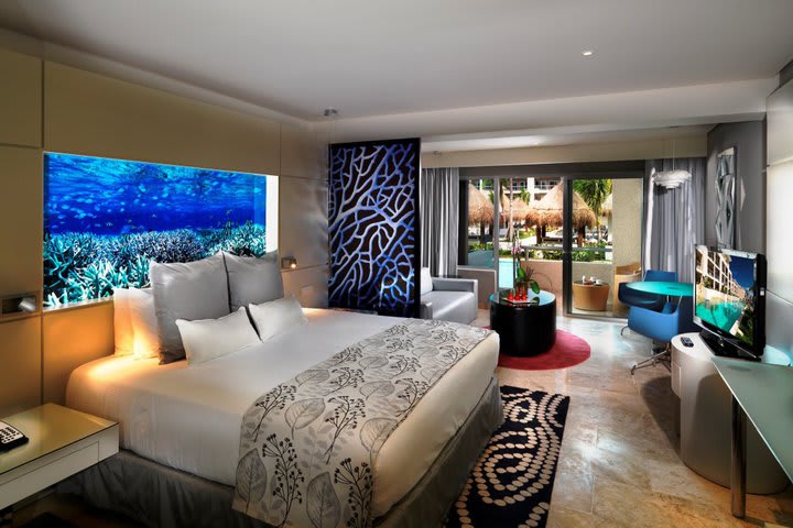 Paradisus junior suite swim-up