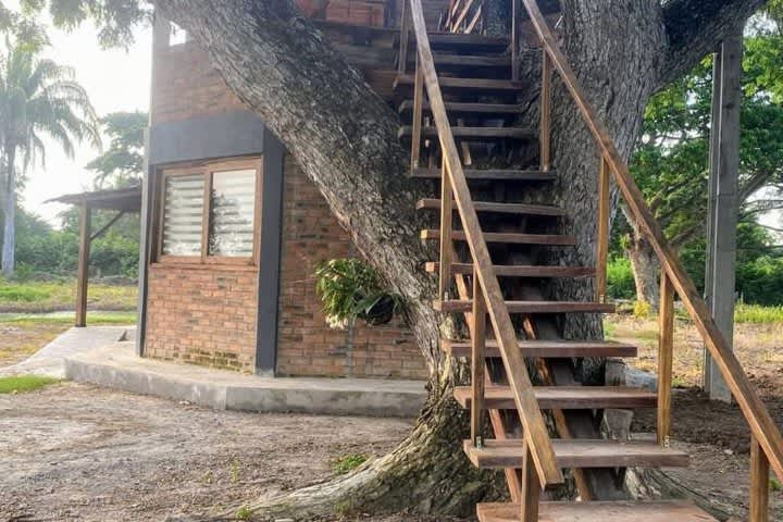 Casa Finca Fin Del Afán