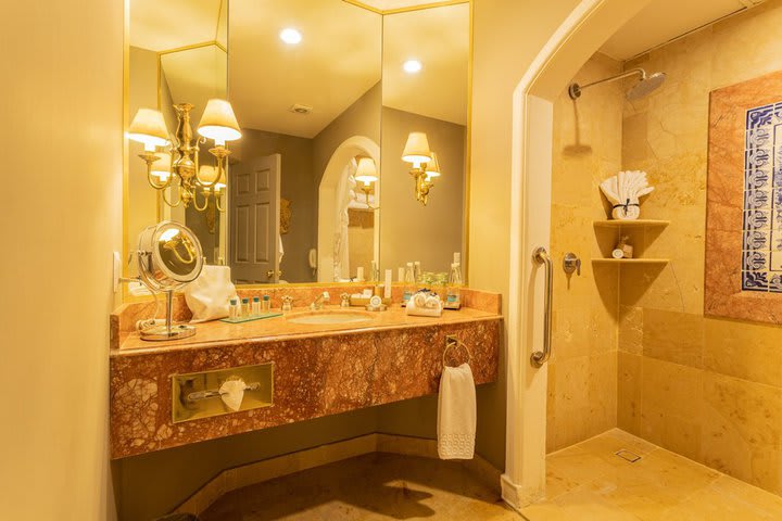 Bathroom in a master suite