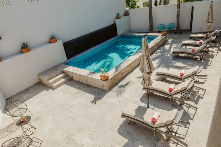 Sun loungers next to the pool