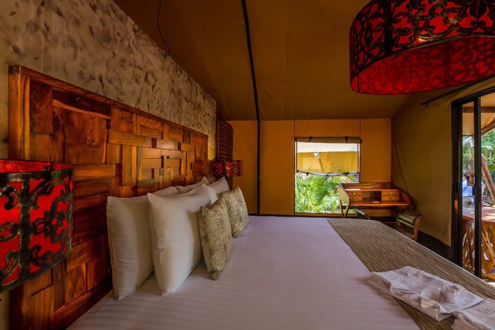 Guest rooms are surrounded by a jungle environment