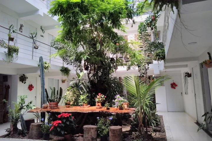 Hotel Hotel Boutique Los Remansos