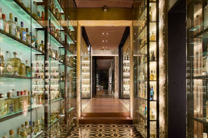 Wine cellar in the Ixi'im restaurant