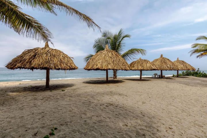 Palapas en la playa